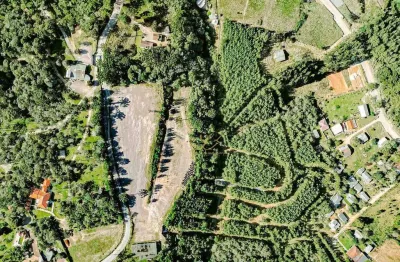 Excelente área de 63.000m² com Pinus, Eucaliptus e Barracão de 450m² - Córrego Fundo, São José dos Pinhais!