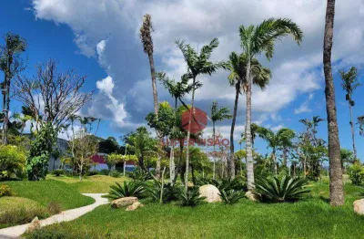 Terreno à venda, 450 m² por r$ 570.000,00 - vargem do bom jesus - florianópolis/sc
