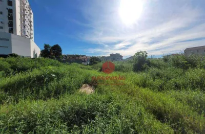 Terreno à venda, 6732 m² por r$ 6.732.690,00 - passa vinte - palhoça/sc