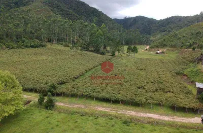 Chácara à venda 3,937 m² por r$ 680.000 - pinheiral - major gercino/sc