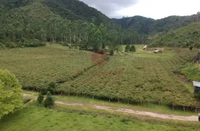 Chácara / sítio com 1 quarto à venda na pinheiral, 1, pinheiral, major gercino por r$ 680.000