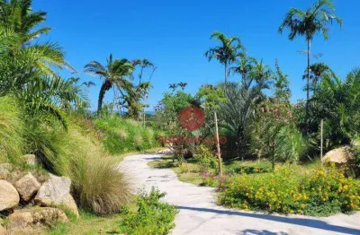 Terreno à venda, 450 m² por r$ 590.000,00 - vargem do bom jesus - florianópolis/sc