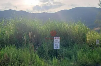 Terreno à venda, 439 m² por r$ 670.000,00 - pedra branca - palhoça/sc