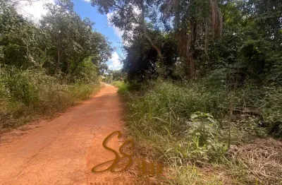 Terreno à venda na Cidade Satélite, Juatuba 