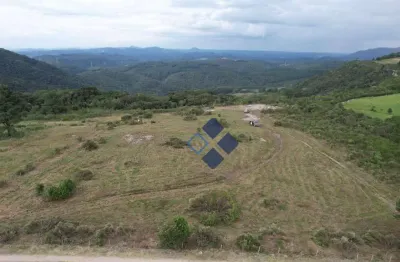 Área à venda, 2000 m² por r$ 1.999.000,00 - são luiz do puruna - balsa nova/pr