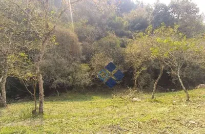 Chácara à venda, 26625 m² por r$ 399.000,00 - zona rural - quitandinha/pr