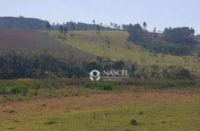 Terreno à venda no Bom Retiro, Bragança Paulista 