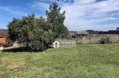 Venda terreno - 300m² - testada de  12 metros  – jardim águas claras