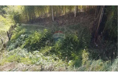 Terreno à venda no Santo Antônio, Conselheiro Lafaiete 