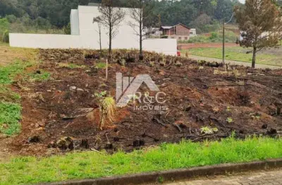 Terreno à venda na Estrada Municipal Avelina Tomazzoni Piccoli, 1, Monte Bérico, Caxias do Sul