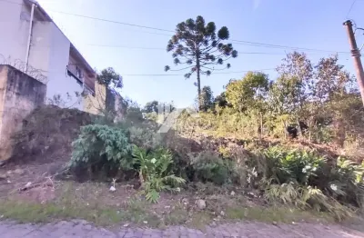 Terreno à venda no São Caetano, Caxias do Sul 