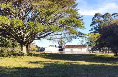 Chácara 3 dormitórios à venda alto alegre cerrito/rs