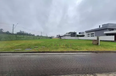 Terreno à venda, 250 m² por r$ 371.000 - terras alpha - gravataí/rs