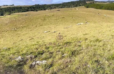 Sítio à venda, 316624 m² por r$ 1.100.000,00 - tainhas - são francisco de paula/rs