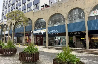Apartamento padrão face norte, andar alto, 90m2, 3 quartos sendo 1 suite.