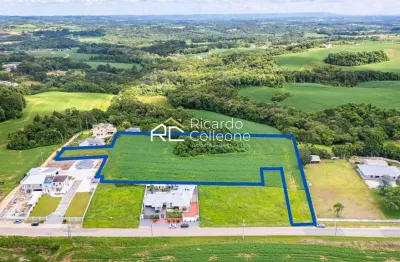 Terreno com 16.073m2, possibilidade de Desmembramento. Contenda – Bairro Serrinha.