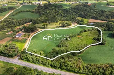 Terreno com 39.481m2 Frente para BR-476, no bairro Serrinha, em Contenda/PR.