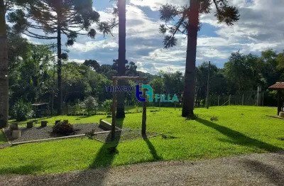 Chácara incrível em campo magro com 32.251m², 15min de santa felicidade