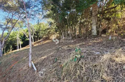 Terreno à venda, em ótima localização do condomínio fazendinhas de simão pereira simão pereira, mg