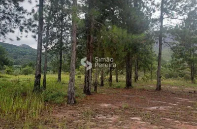 Terreno à venda em Itaipava, Petrópolis 