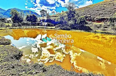 Sítio para venda com 51,6 hectares na zona rural  simão de pereira - mg pronto para criação de gado