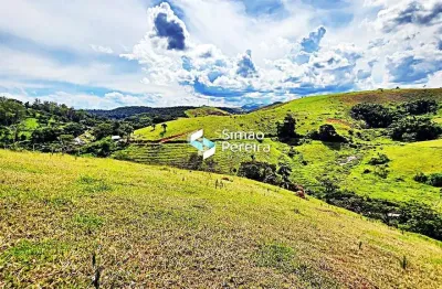 Sítio para venda com 39.000m² com 3 quartos, capineira e área de pastagem em matias barbosa - mg