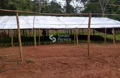 Sítio para venda com 12 hectares como bastante água em simão pereira mg
