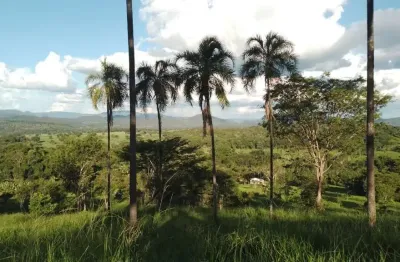 Chácara / sítio com 2 quartos à venda na zona rural, 200, centro, pirenópolis por r$ 400.000