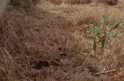 Terreno à venda na antônio sabino, 2, residencial florença, anápolis por r$ 130.000