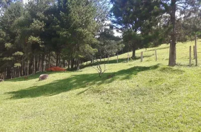 Chácara / sítio à venda na Sítio São Pedro, Carmo Messias, Ibiúna