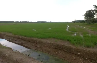 Terreno à venda na Vila Nova, Joinville 