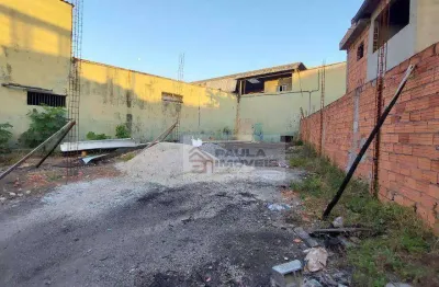 Terreno para alugar, 250 m² por r$ 5.000,00/mês - parque novo mundo - são paulo/sp