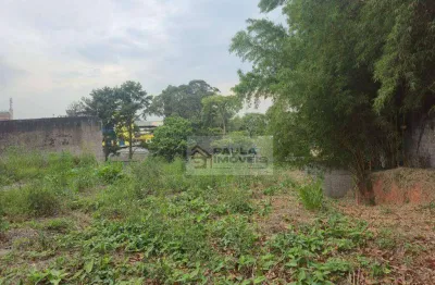 Terreno para alugar, 1000 m² por r$ 6.500/mês + iptu r$ 790, - cidade industrial satélite de são paulo - guarulhos/sp