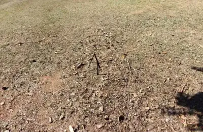 Terreno amplo no parque xangrilá: oportunidade para construir o seu sonho!