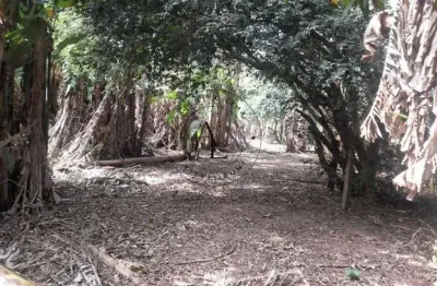 Sua chácara dos sonhos em campinas: espaço, conforto e natureza em harmonia!