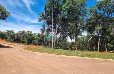 Terreno à venda, 524 m² por r$ 229.900,00 - vila albanos - lagoa santa/mg
