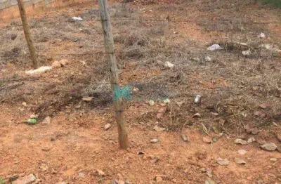 Terreno à venda, 270 m² por r$ 180.000,00 - moradas da lapinha - lagoa santa/mg
