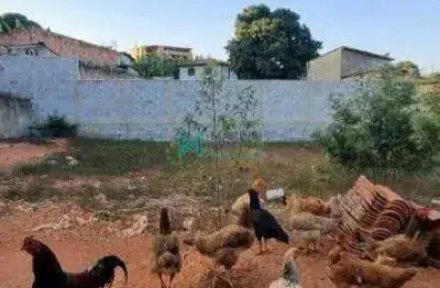 Terreno à venda na Rua Presidente Antônio Carlos, Centro, Lagoa Santa