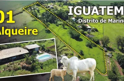 Chácara / sítio à venda na Estrada da Usina, 100, Distrito de Iguatemi (Iguatemi), Maringá