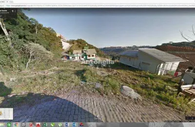 Terreno à venda na Rua Angelino Gazzola, São Luiz, Caxias do Sul