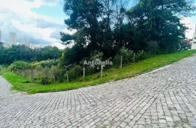 Terreno à venda no Panazzolo, Caxias do Sul 