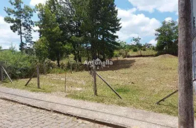 Terreno à venda no Santa Catarina, Caxias do Sul 
