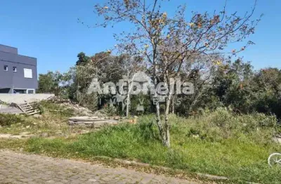 Terreno à venda no São Luiz, Caxias do Sul 