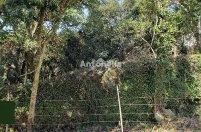 Terreno à venda na Rua Adalberon Cruz, Bela Vista, Caxias do Sul