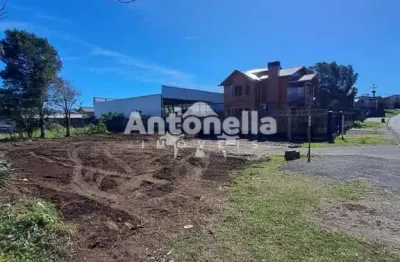 Terreno para venda  no bairro parque oásis em caxias do sul