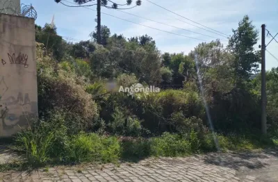 Terreno à venda no São Caetano, Caxias do Sul 