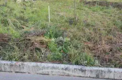 Terreno à venda na Estrada Municipal José Dani, Desvio Rizzo, Caxias do Sul