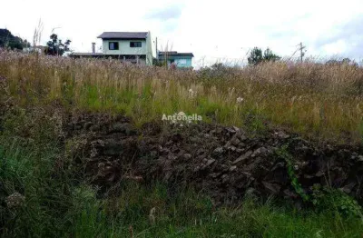 Terreno à venda na Nossa Senhora das Graças, Caxias do Sul 