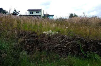 Terreno à venda na Rua José Soares de Oliveira, Nossa Senhora das Graças, Caxias do Sul