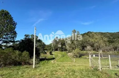 Chácara / sítio à venda na Fazenda Souza, Caxias do Sul 